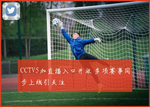 CCTV5加直播入口开放 多项赛事同步上线引关注
